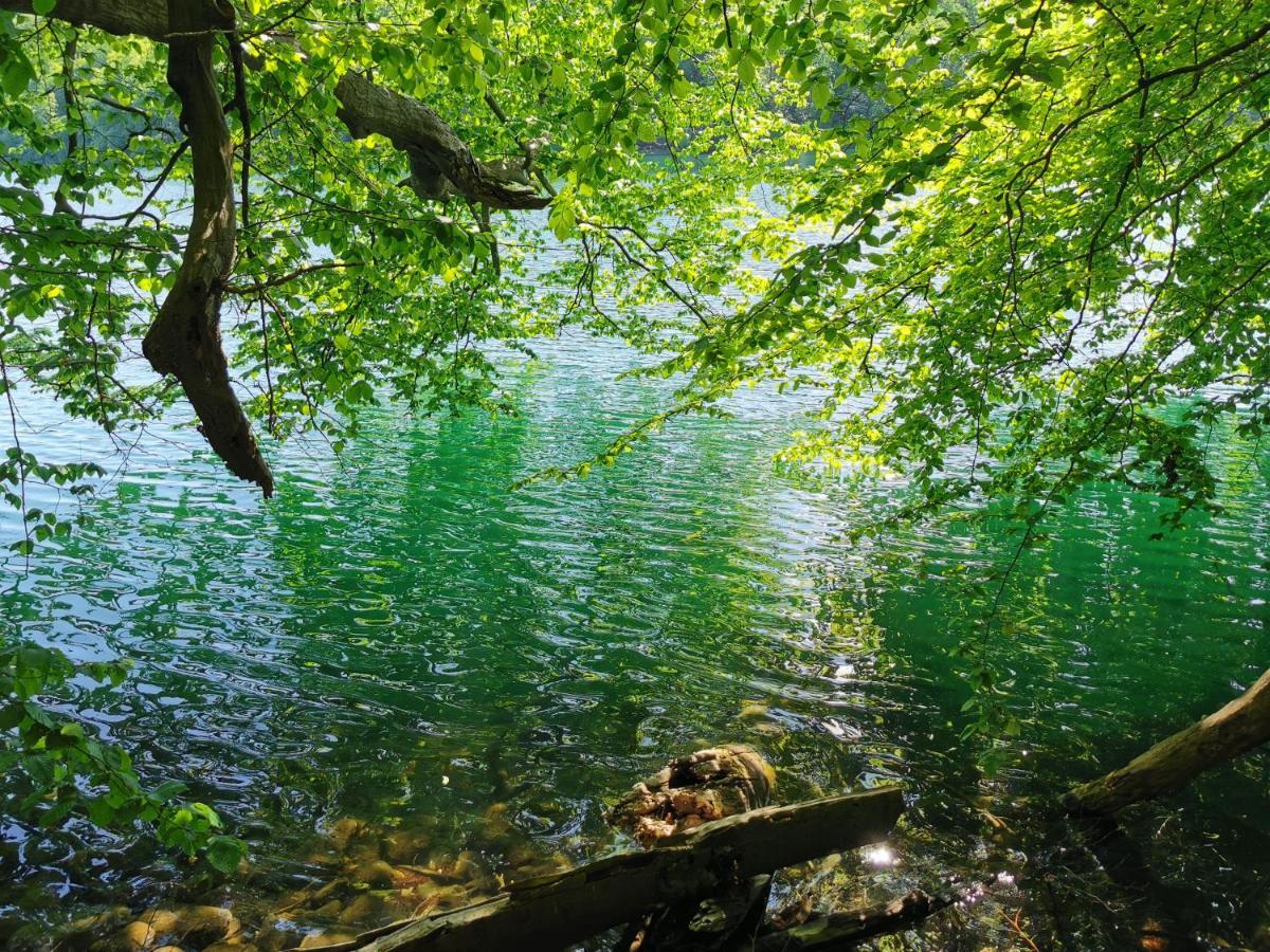 Apartament Tweet Tohuus Feldberger Seenlandschaft Zewnętrze zdjęcie